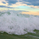 wright-casey-attorneys-new-smyrna-beach-attorneys