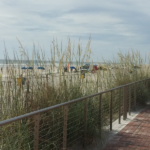 wright-casey-attorneys-new-smyrna-beach-practice-areas