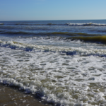 wright-casey-barbara-reid-new-smyrna-beach-attorney