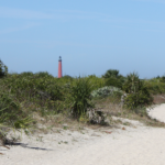 wright-casey-joshua-wells-new-smyrna-beach-attorney